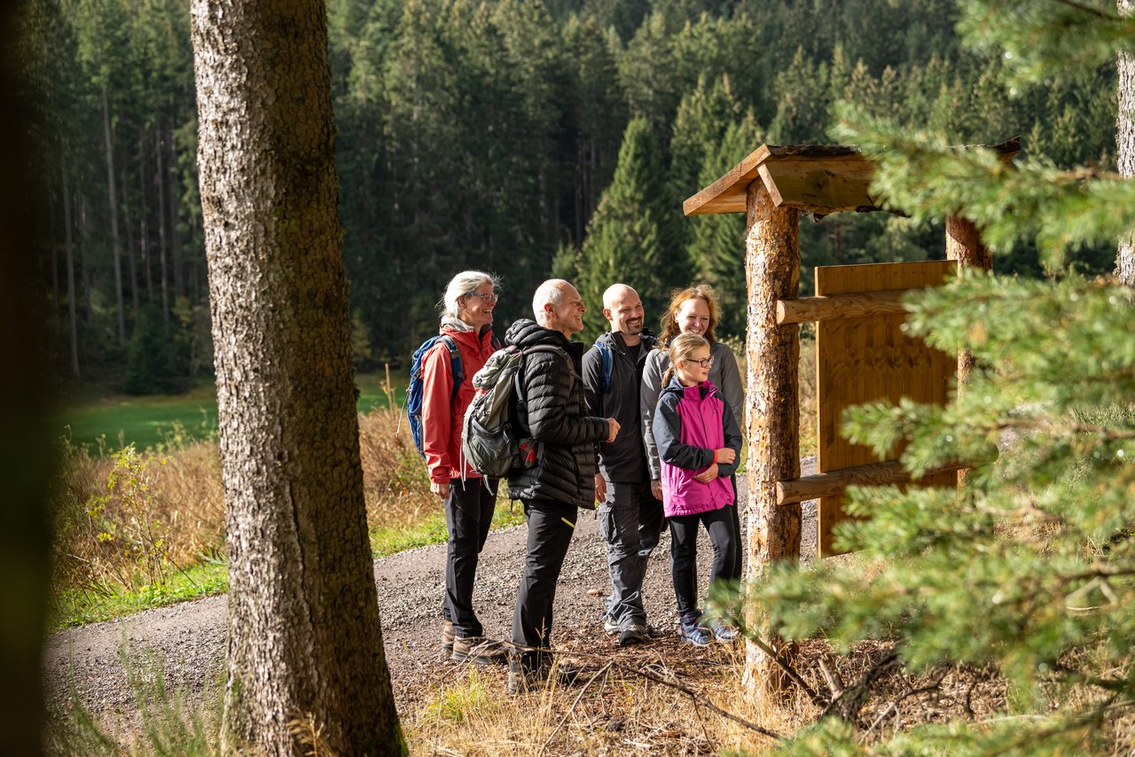 Familie auf dem Wanderweg im Wald betrachtet eine Schautafel auf dem Biodiversitätspfad.
